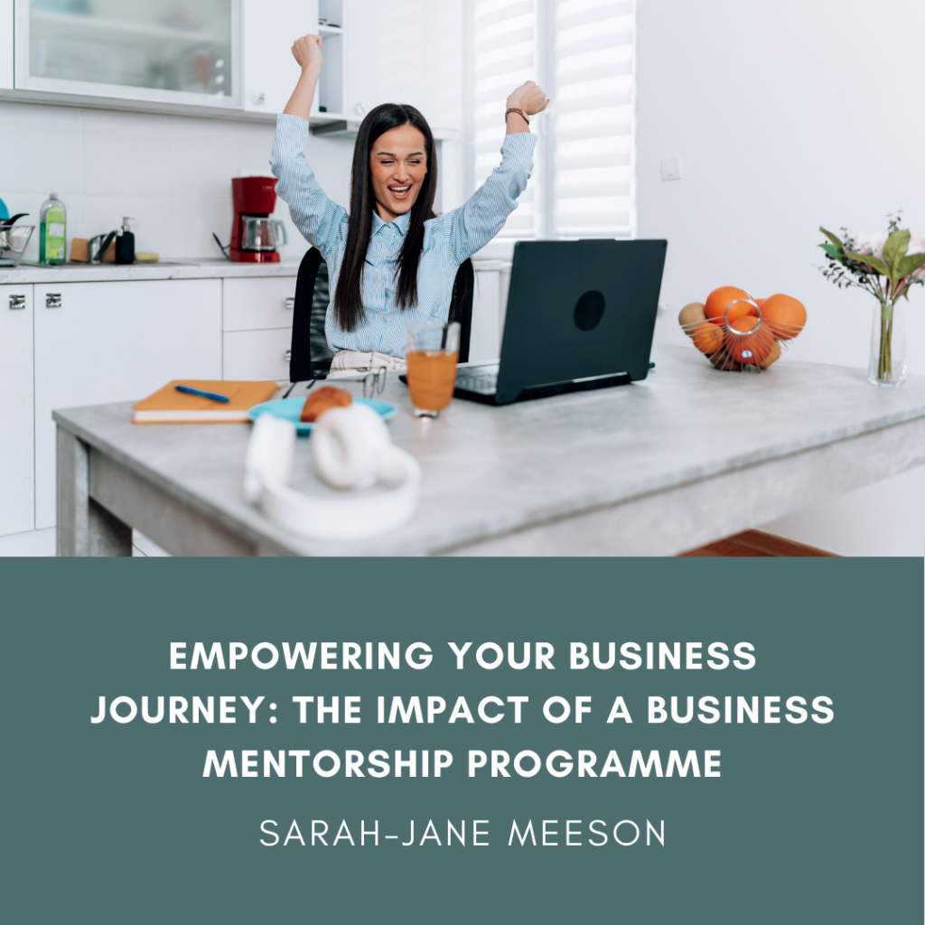 Empowering Your Business Journey: The Impact of a Business Mentorship Programme