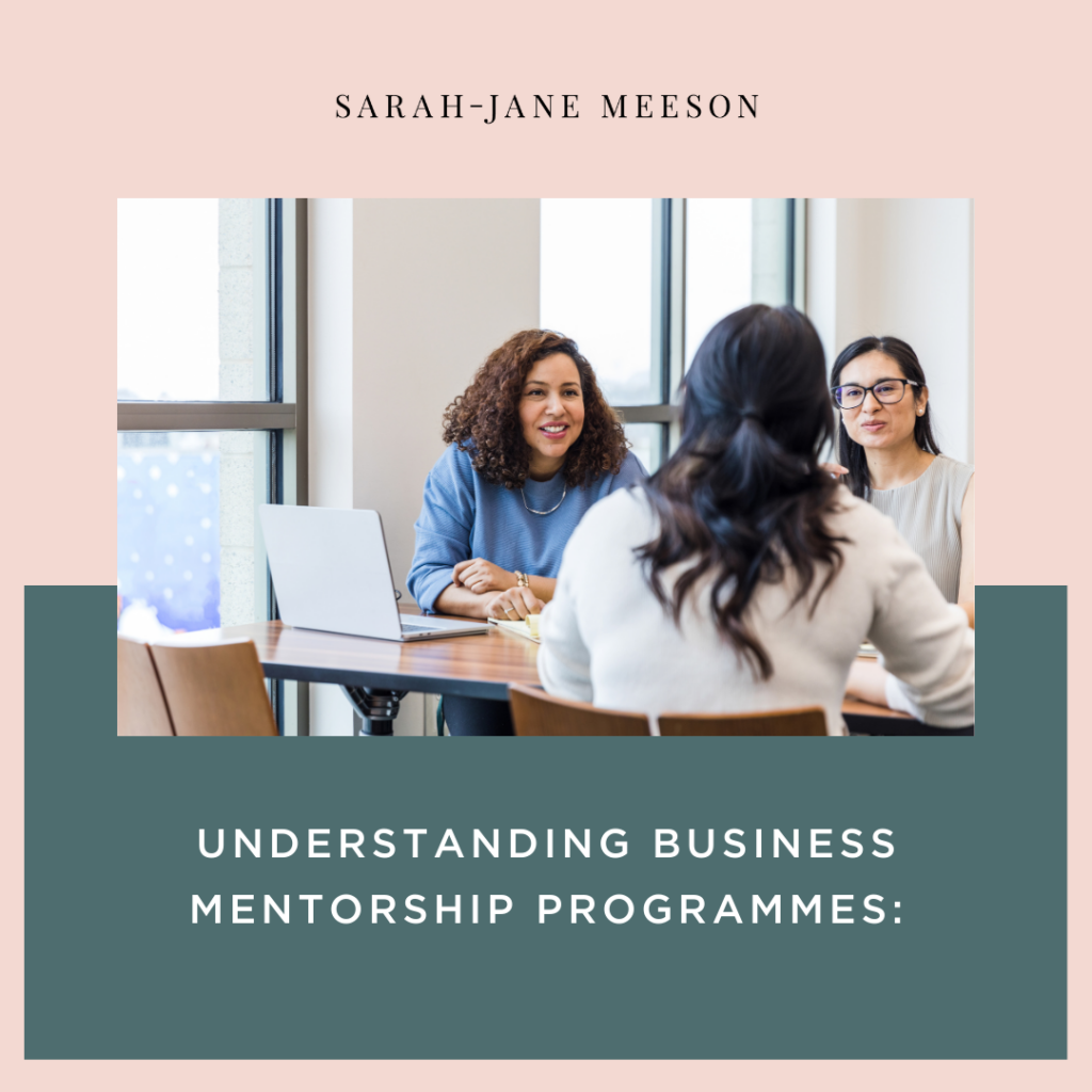 Understanding Business Mentorship Programmes:
